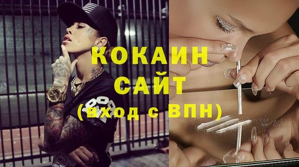 крисы Аркадак