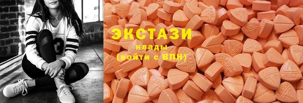 крисы Аркадак