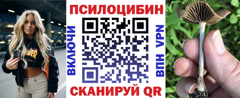 Псилоцибиновые грибы GOLDEN TEACHER  hydra ТОР  Рассказово 
